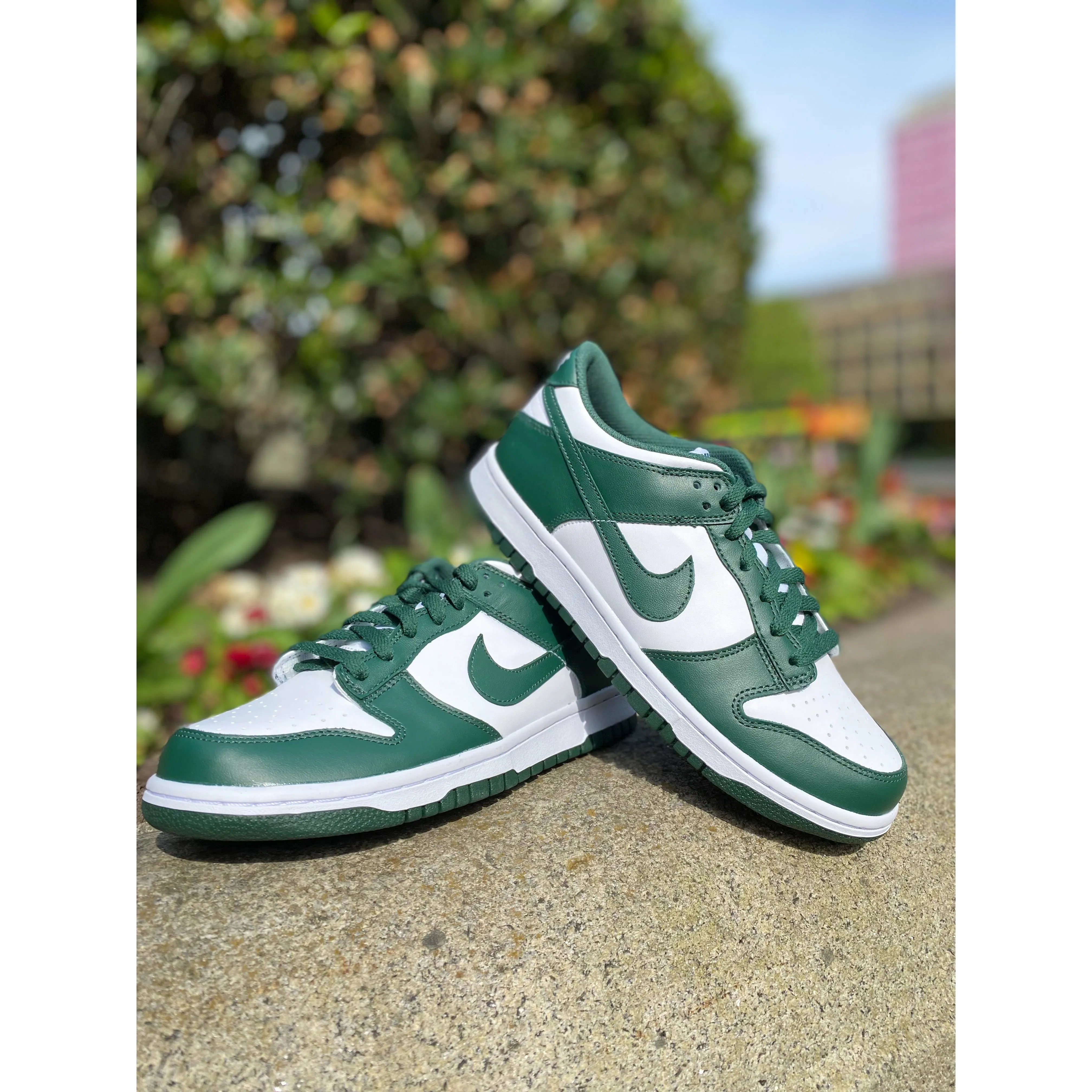 Nike Dunk Low Michigan State