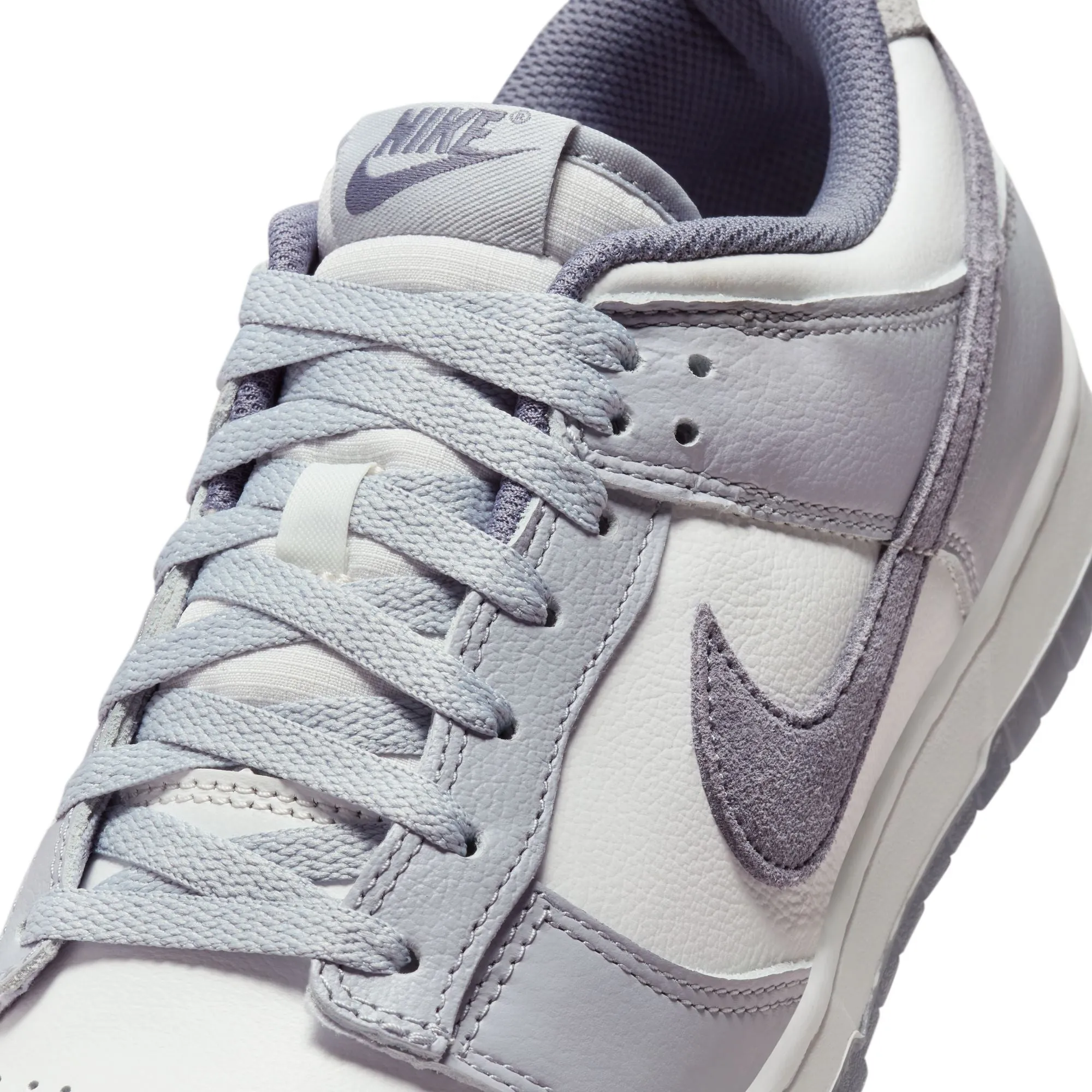 Nike  Men's Dunk Low Retro SE FJ4188-100 