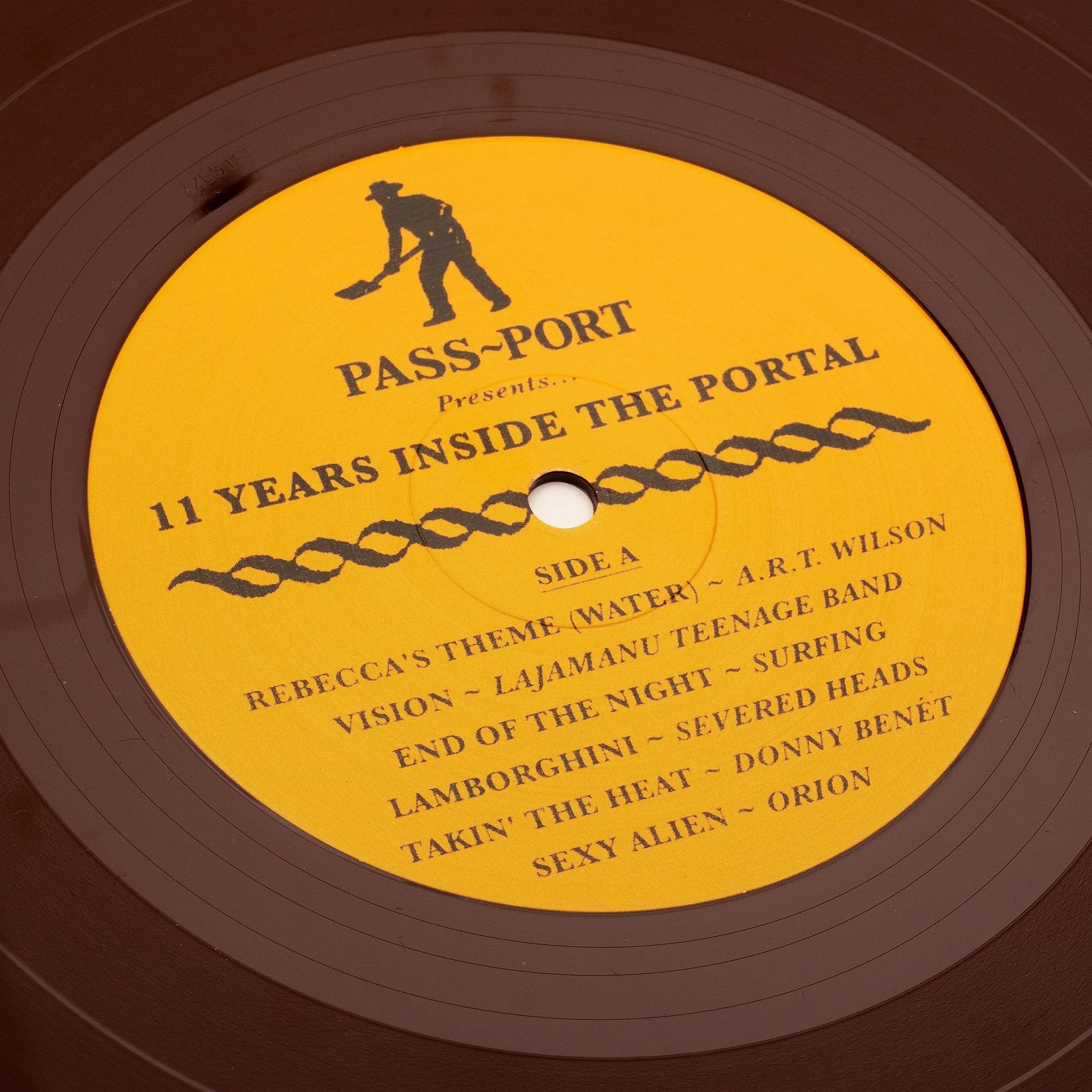 PASS~PORT SKATEBOARDS 11 YEAR VINYL