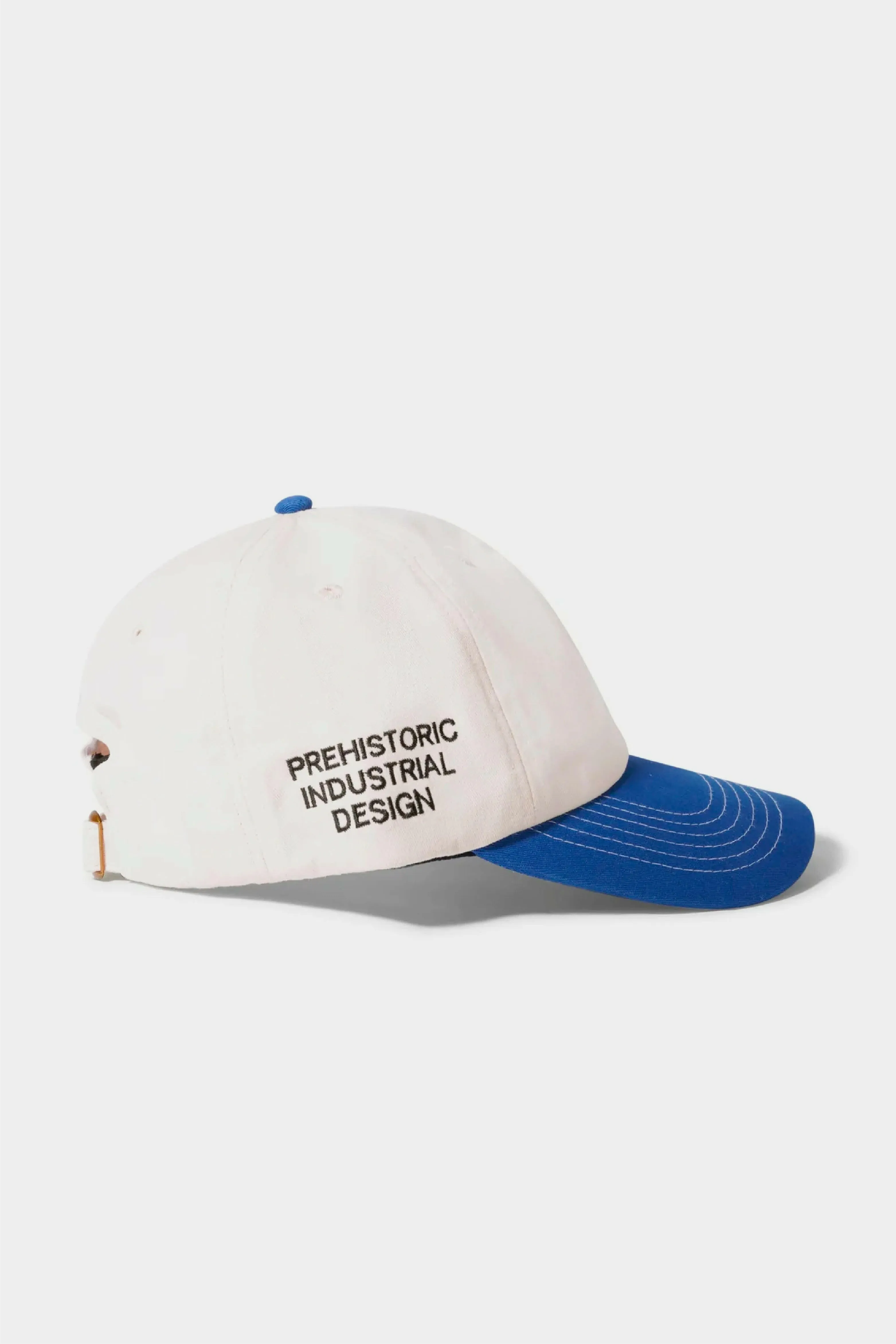 Prehistoric 6 Panel Cap