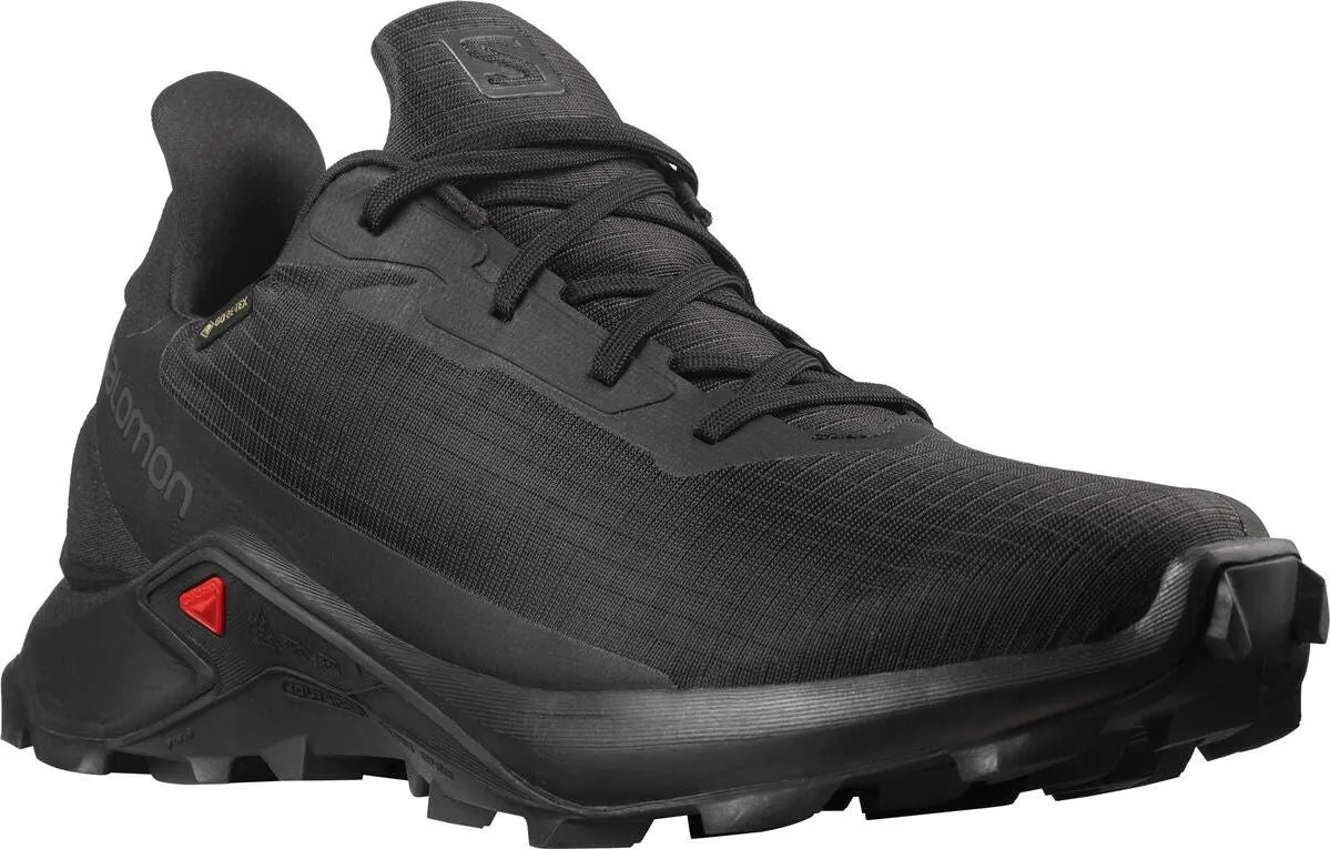 Salomon Men's Alphacross Gore-tex Black